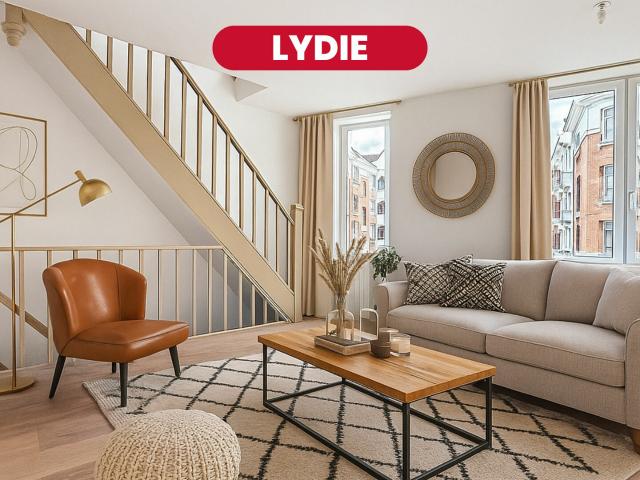 Appartement vente à Lille