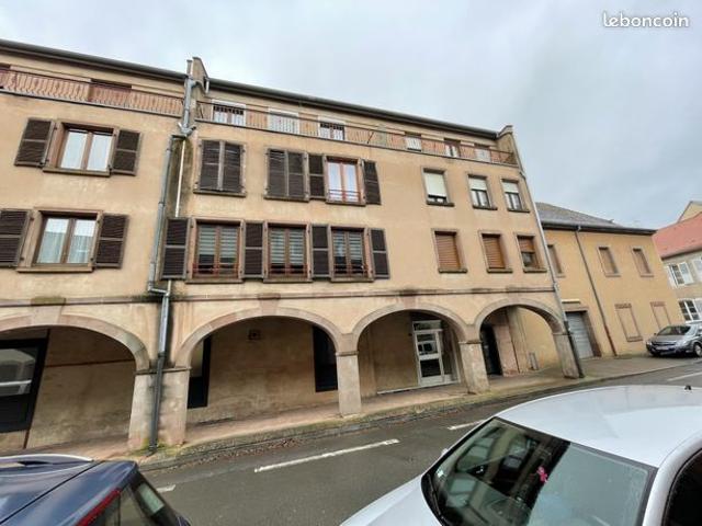 Appartement vente à Sarrebourg-Château-Salins, Phalsbourg