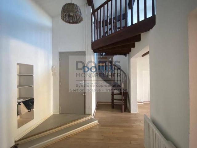 Appartement location à Montpellier, Lunel-viel