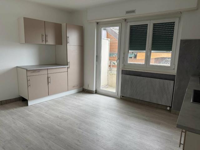 Appartement location à Mulhouse, Village-neuf