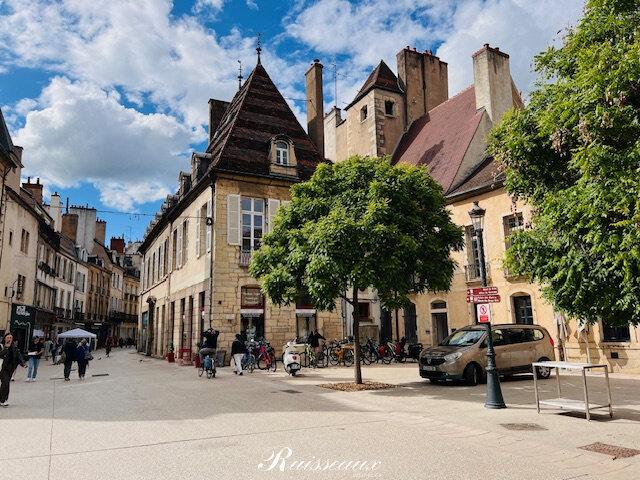 Appartement vente à Dijon