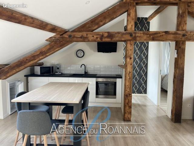 Appartement vente à Roanne