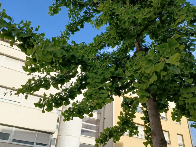 Appartement location à Mulhouse