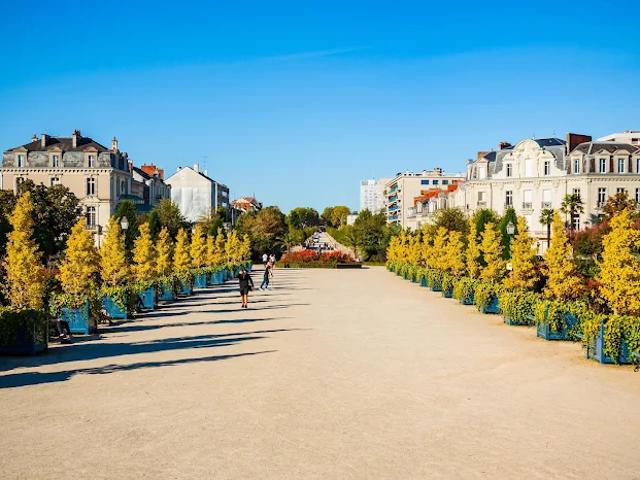 Appartement vente à Angers