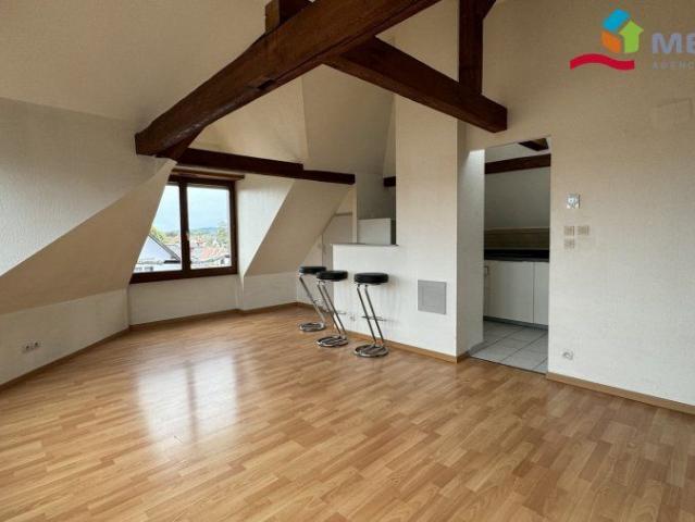 Appartement location à Strasbourg, Holtzheim