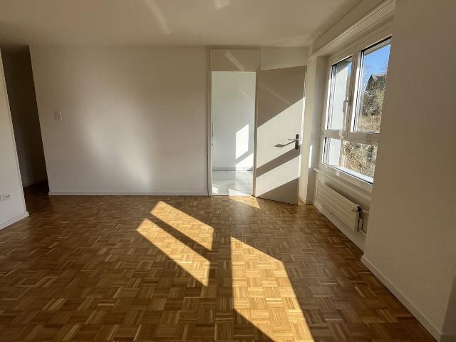 Apartment mieten in La Chaux-de-Fonds, Neuenburg