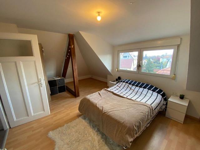 Appartement location à Molsheim