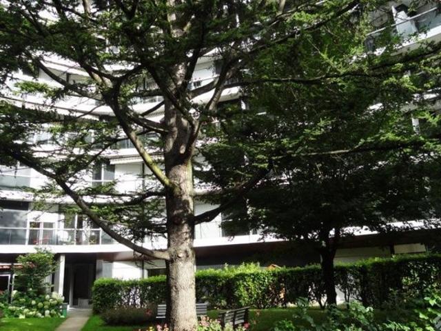 Appartement location à Nogent-sur-Marne, Joinville-le-pont