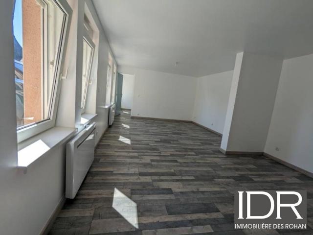 Appartement location à Sarrebourg-Château-Salins, Sarrebourg