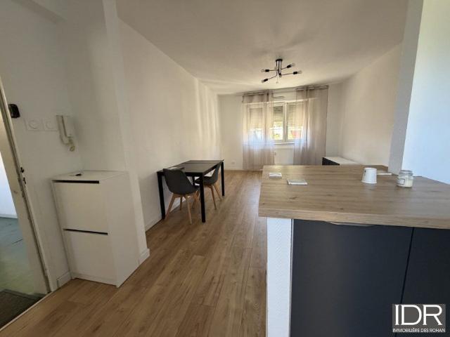 Appartement location à Saverne