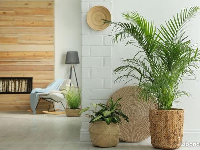 Appartement vente à Dax, Soustons