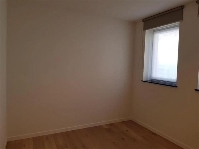 Appartement location à Maaseik, Limburg