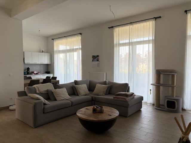 Kot location à Renaix, Oost-Vlaanderen