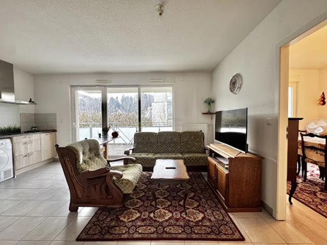 Appartement vente à Altkirch