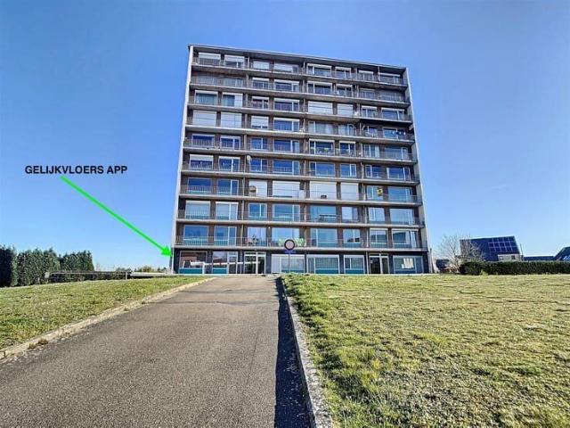 Appartement location à Tienen, Brabant