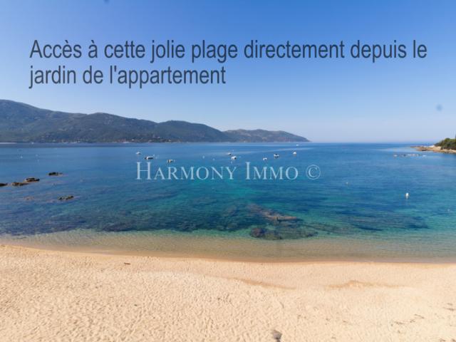 Appartement vente à Ajaccio, Vico