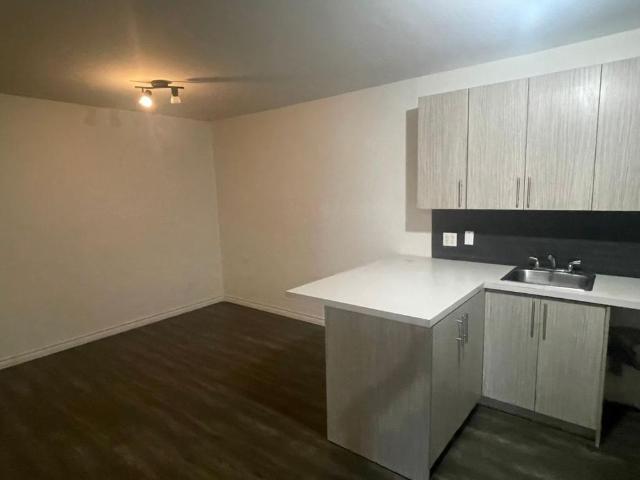 Apartment for rent in Laurentides, Quebec