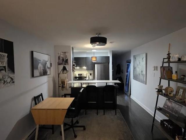 Apartment for rent in Hochelaga-Maisonneuve, Montréal