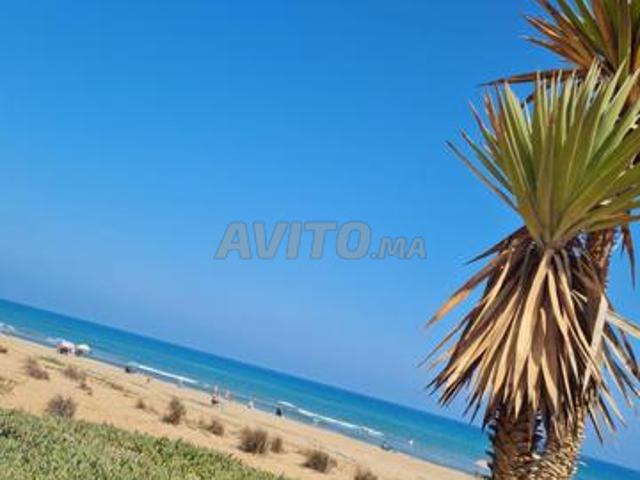 Appartement vente à Saida