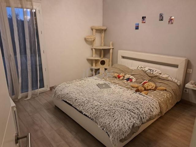 Appartement location à Arrondissement de Toulon, La Seyne-sur-mer