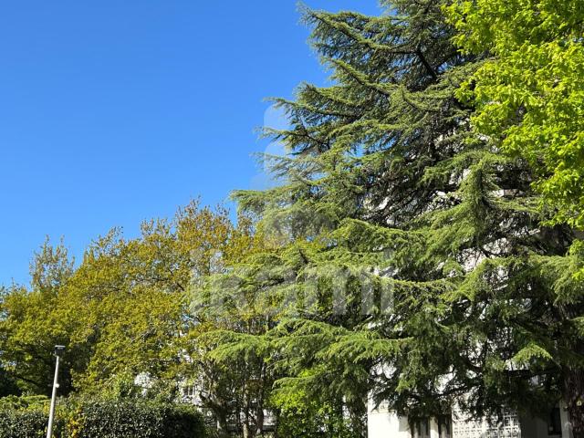 Appartement vente à Bordeaux