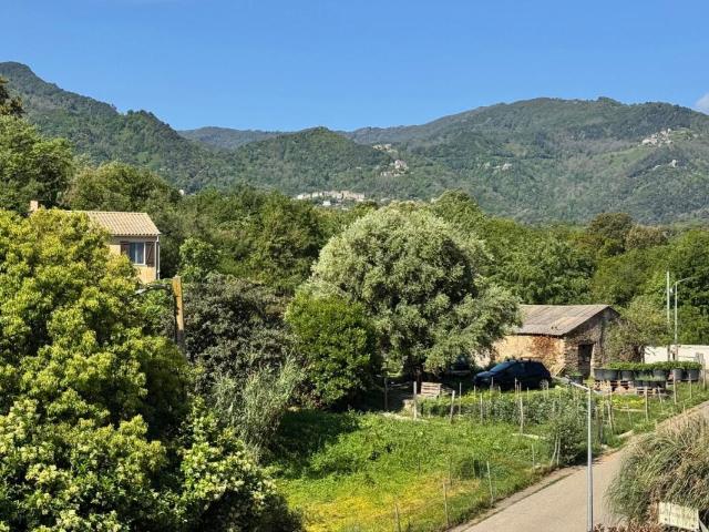 Appartement vente à Corte, San-nicolao