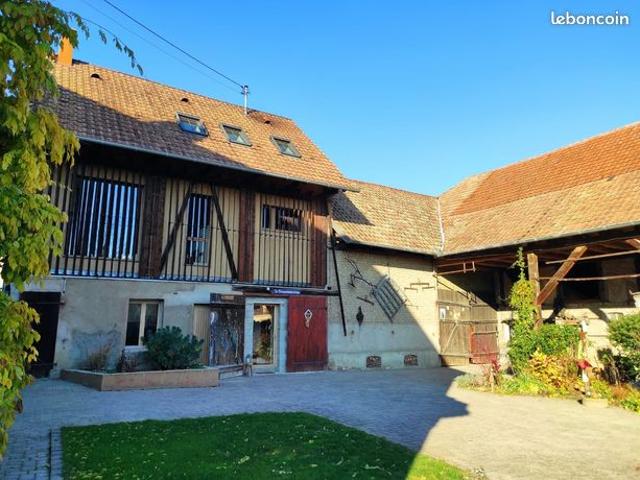 Appartement vente à Strasbourg, Plobsheim