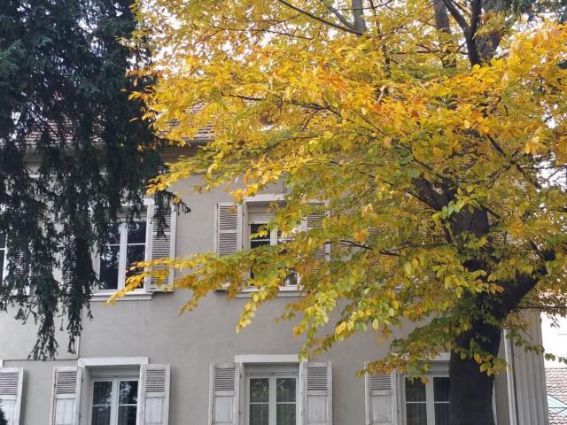 Appartement location à Mulhouse