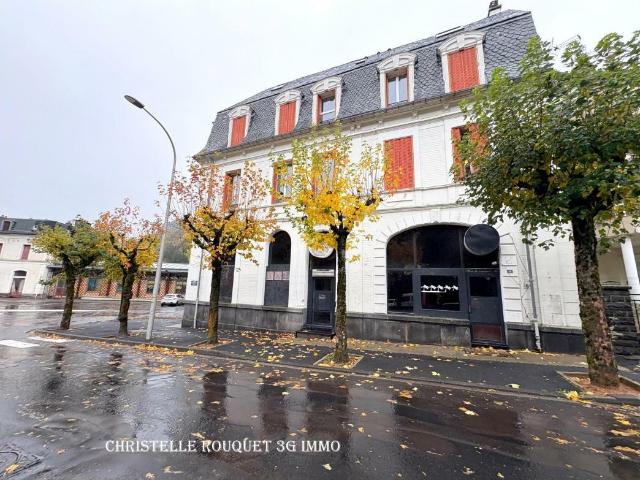 Appartement vente à Issoire, Mont-dore