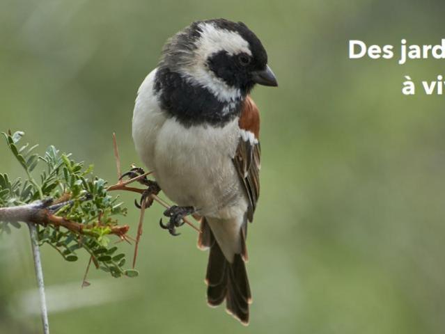 Appartement vente à Nice, Falicon