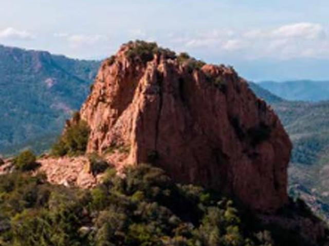 Appartement vente à Arrondissement de Draguignan, Le Muy