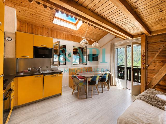 Appartement vente à Thonon-les-Bains, Le Châtel