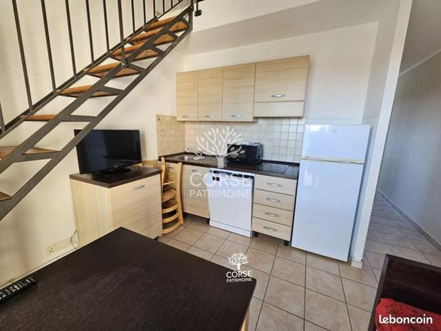 Appartement vente à Corte, Linguizzetta