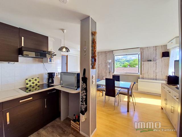 Appartement vente à Saint-Dié-des-Vosges, Le Tholy