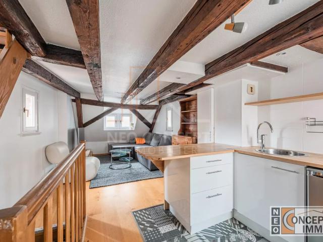 Appartement location à Strasbourg, Hoenheim