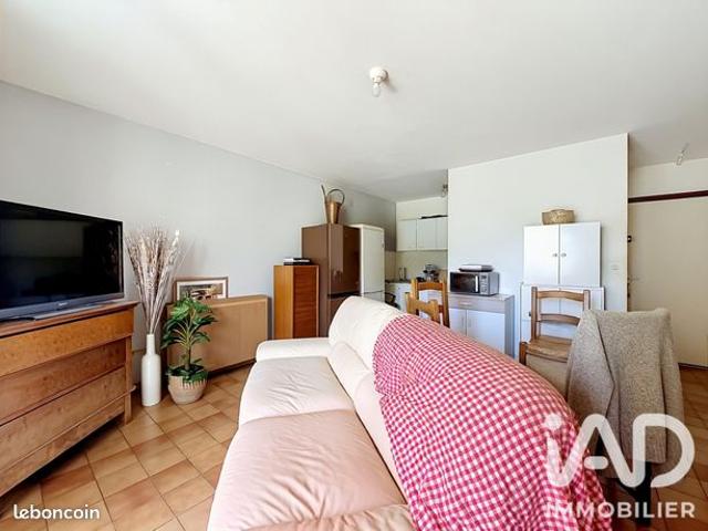 Appartement vente à Millau
