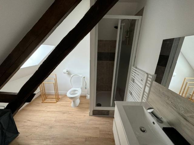 Appartement location à Vierzon