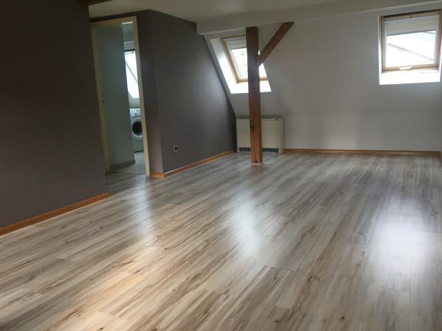 Appartement location à Strasbourg, Hoenheim