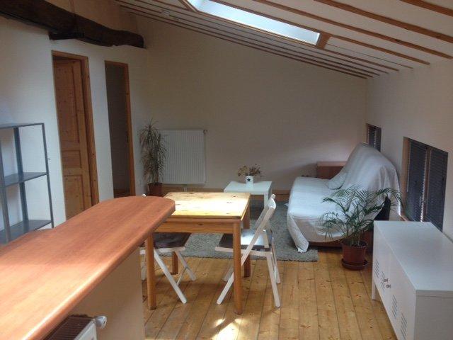 Appartement location à Saint-Étienne, Saint-etienne