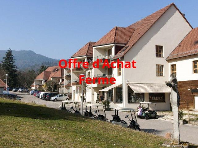 Appartement vente à Colmar-Ribeauvillé, Ammerschwihr
