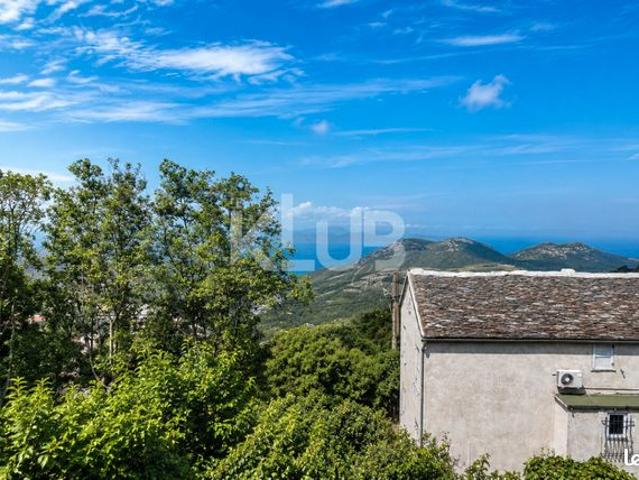 Appartement vente à Calvi, Barbaggio