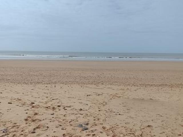 Appartement vente à Les Sables-d'Olonne, Saint-hilaire-de-riez