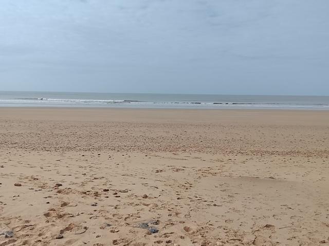 Appartement vente à Les Sables-d'Olonne, Saint-hilaire-de-riez