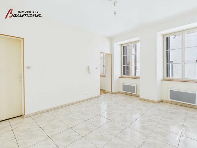 Appartement vente à Strasbourg, Hoenheim