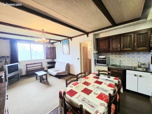 Appartement vente à Barcelonnette, Enchastrayes