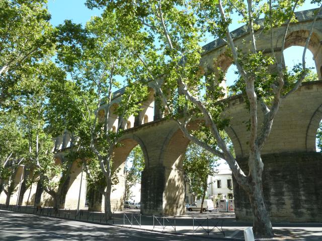 Appartement location à Montpellier