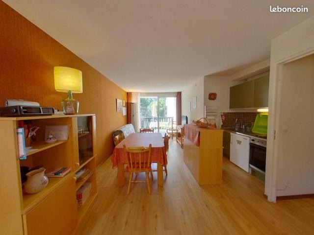 Appartement vente à Barcelonnette, Enchastrayes