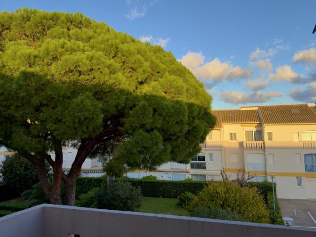Appartement vente à Céret, Argelès-sur-mer