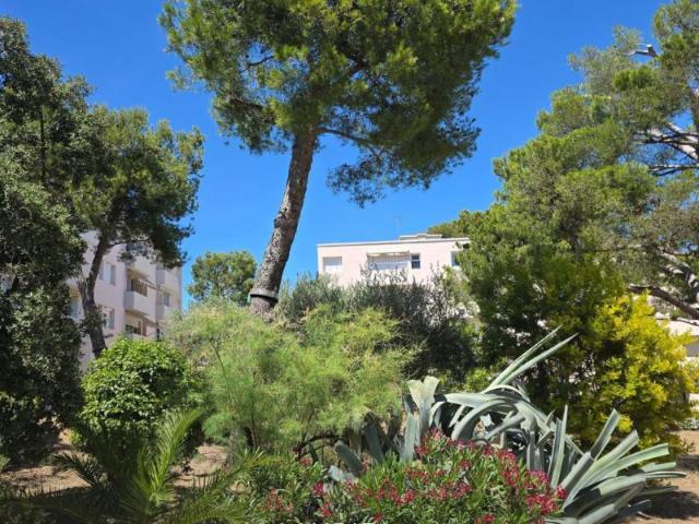 Appartement vente à Marseille, La Ciotat