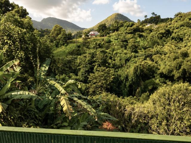 Appartement location à Guadeloupe